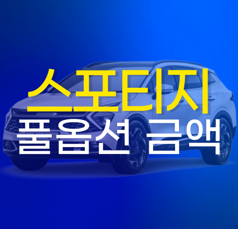 스포티지 풀옵션