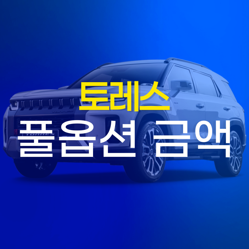 토레스 풀옵션