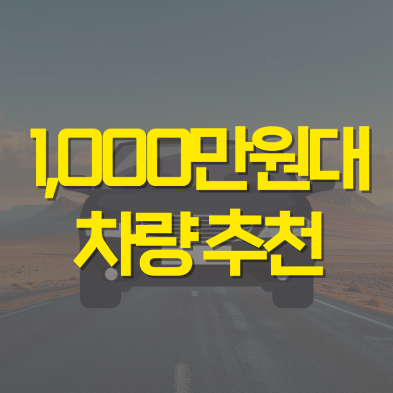 1000만원대