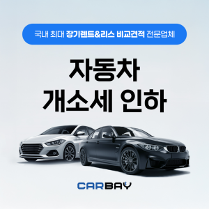 자동차 개소세