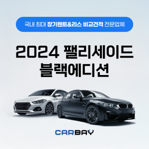 2024 팰리세이드 블랙에디션