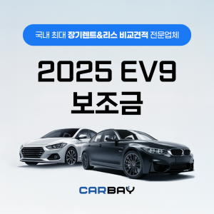 2025 EV9 보조금