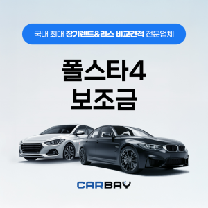 폴스타4 보조금